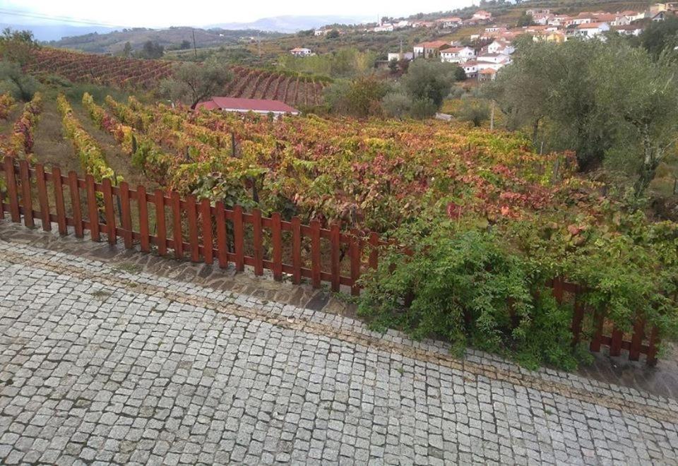 Casa Do Poco - Douro Hotel Peso da Regua Exterior photo